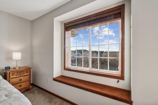 6665 Flycatcher Ln, Apple Valley, MN 55124 - bedroom with carpet and baseboards