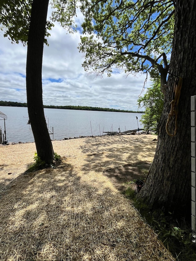 4637 109th Ave, Palmer Twp, MN 55319 - view of yard featuring a water view