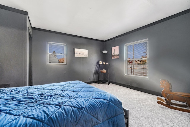 506 8th Ave SW, Pipestone, MN 56164 - bedroom featuring ornamental molding, carpet floors, and baseboards
