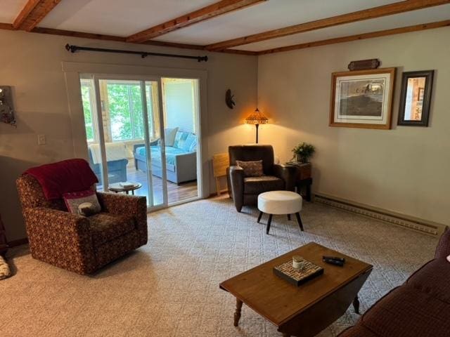 48408 Pillar Rd, Deer River, MN 56631 - living room featuring beam ceiling and carpet flooring