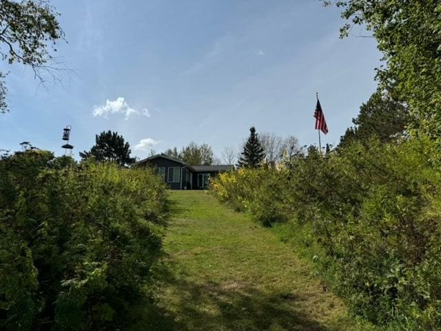 48408 Pillar Rd, Deer River, MN 56631 - view of grassy yard