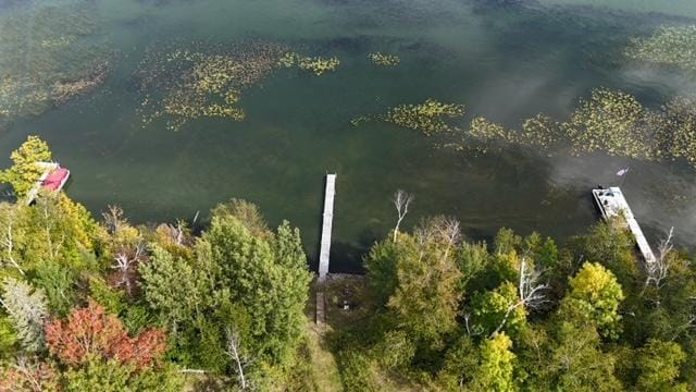 48408 Pillar Rd, Deer River, MN 56631 - drone / aerial view
