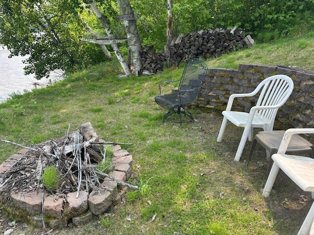 48408 Pillar Rd, Deer River, MN 56631 - view of yard