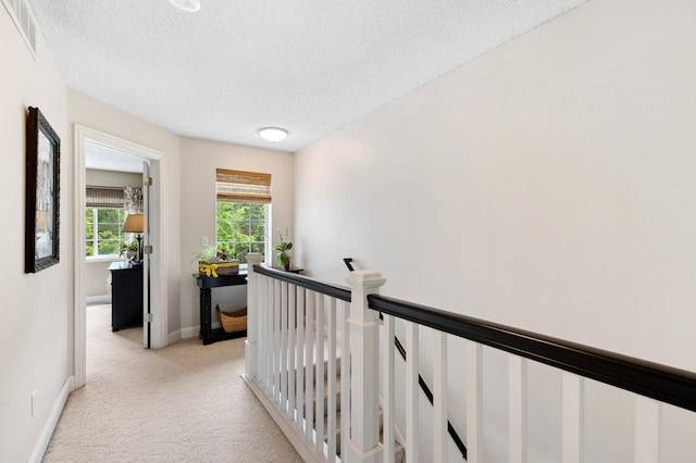 2244 Water Lilly Ln Unit 405, Eagan, MN 55122 - hallway with light carpet, an upstairs landing, a textured ceiling, and baseboards