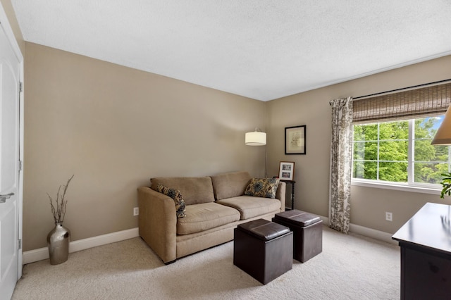 2244 Water Lilly Ln Unit 405, Eagan, MN 55122 - living room featuring light colored carpet, baseboards, and a textured ceiling
