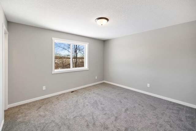 7773 Gunner Dr, Clear Lake, MN 55319 - empty room with carpet flooring, baseboards, and a textured ceiling