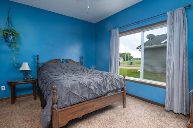 411 Ladd Ln, Osceola, WI 54020 - carpeted bedroom featuring baseboards