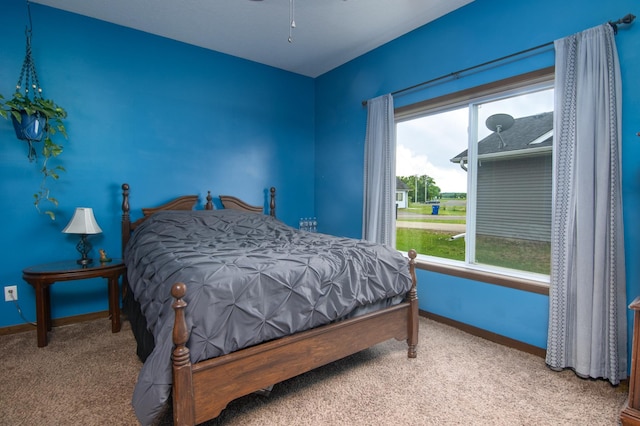 411 Ladd Ln, Osceola, WI 54020 - bedroom featuring carpet