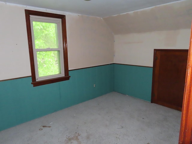 529 1st St N, Truman, MN 56088 - additional living space featuring carpet flooring and vaulted ceiling