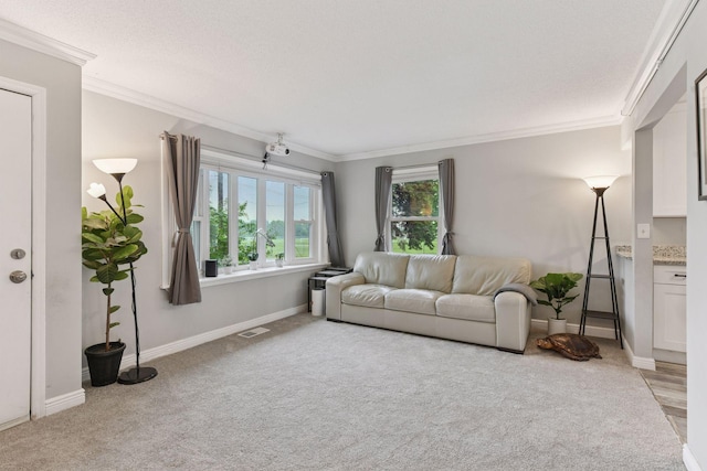 2505 Florida Ave N, Golden Valley, MN 55427 - living room featuring light colored carpet, ornamental molding, and baseboards