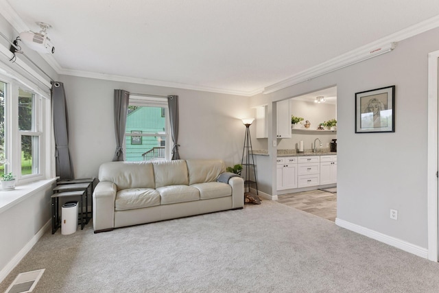 2505 Florida Ave N, Golden Valley, MN 55427 - living room featuring light colored carpet, crown molding, and baseboards