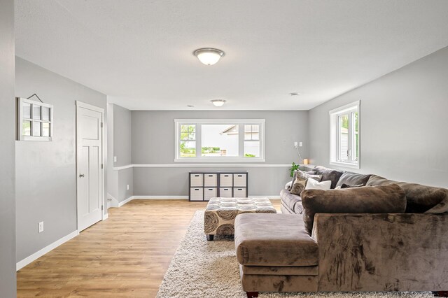 975 100th St NE, Monticello Twp, MN 55362 - living area with healthy amount of natural light, light wood-style flooring, and baseboards