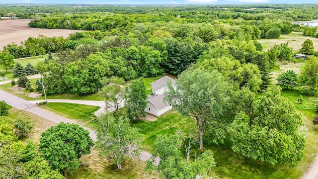 975 100th St NE, Monticello Twp, MN 55362 - drone / aerial view of a forest