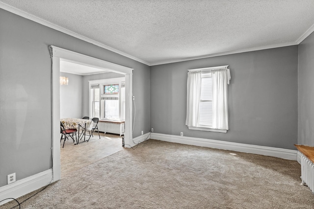 2745 Columbus Ave, Minneapolis, MN 55407 - unfurnished room with radiator heating unit, carpet floors, plenty of natural light, crown molding, and a textured ceiling