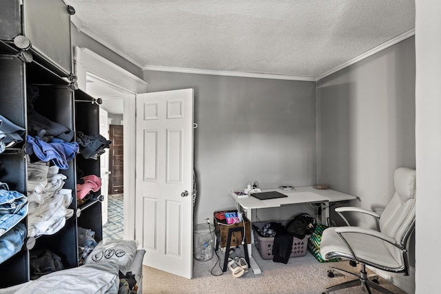 2745 Columbus Ave, Minneapolis, MN 55407 - carpeted home office with crown molding and a textured ceiling