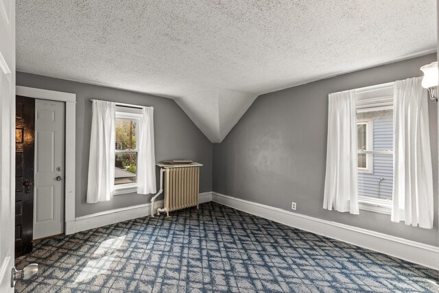 2745 Columbus Ave, Minneapolis, MN 55407 - additional living space featuring radiator, carpet flooring, lofted ceiling, baseboards, and a textured ceiling