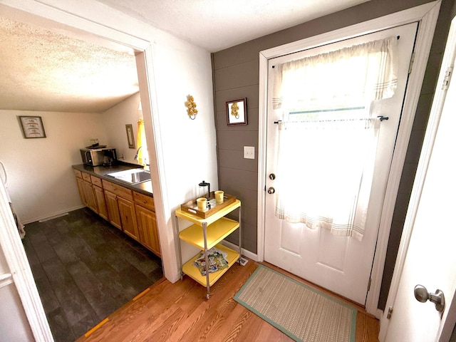 4231 Teal Ln NE, Bemidji, MN 56601 - entryway featuring dark wood-type flooring and a textured ceiling