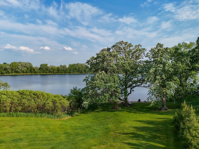 29506 435th Ave, Ottertail, MN 56571 - water view