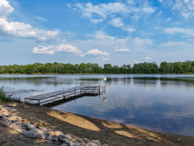 29506 435th Ave, Ottertail, MN 56571 - dock featuring a water view and a forest view