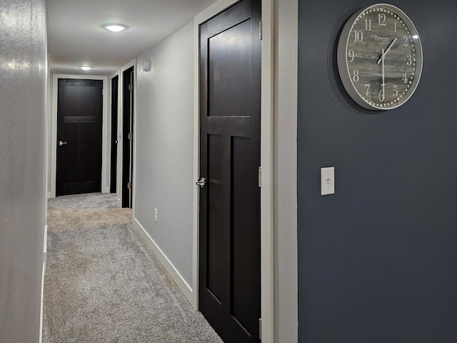 29506 435th Ave, Ottertail, MN 56571 - corridor with carpet floors and baseboards