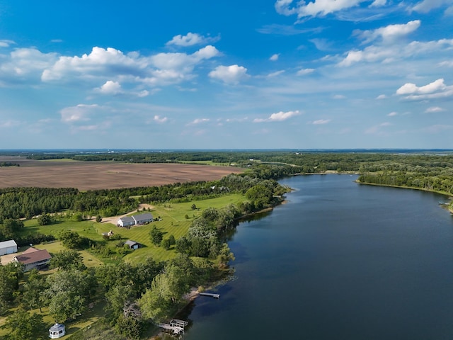 29506 435th Ave, Ottertail, MN 56571 - aerial view of a nearby body of water and a forest
