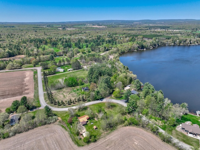 W12517 Southshore Rd, Stubbs Twp, WI 54819 - aerial view of property's location featuring a large body of water and a forest