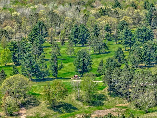 W12517 Southshore Rd, Stubbs Twp, WI 54819 - view of surrounding community