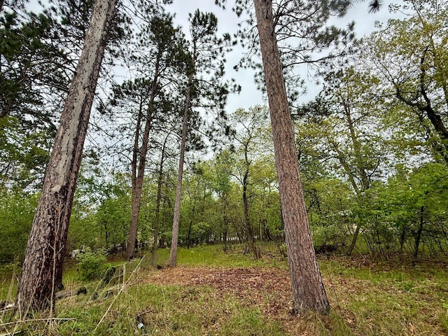 TBD Lavinia Rd NE, Northern Twp, MN 56601