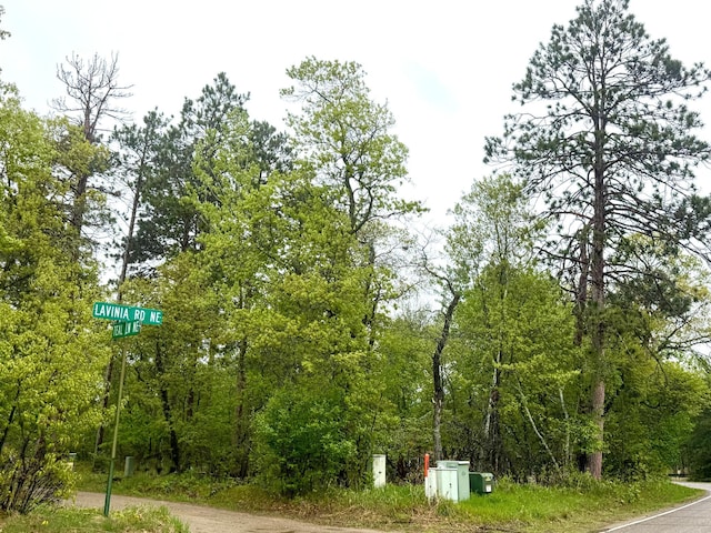 TBD Lavinia Rd NE, Northern Twp, MN 56601