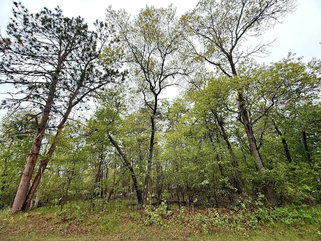 TBD Lavinia Rd NE, Northern Twp, MN 56601