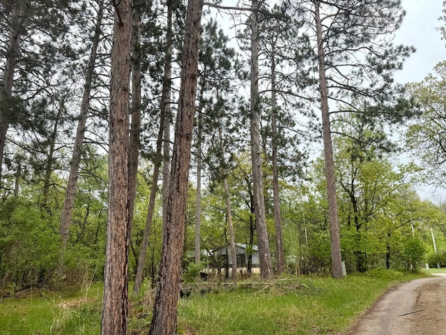 TBD Lavinia Rd NE, Northern Twp, MN 56601