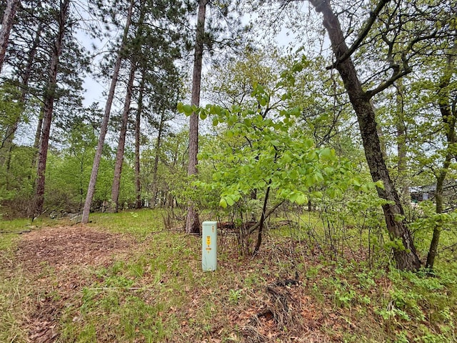 TBD Lavinia Rd NE, Northern Twp, MN 56601