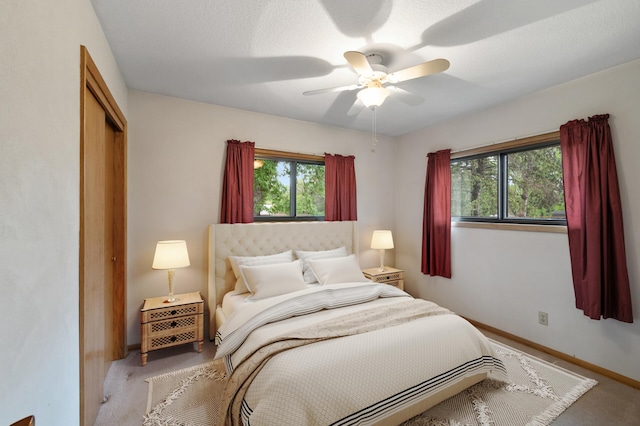 28748 Palm St NW, Isanti, MN 55040 - bedroom with multiple windows, a closet, baseboards, and carpet flooring