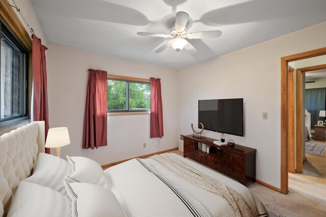28748 Palm St NW, Isanti, MN 55040 - bedroom with light colored carpet, baseboards, and a ceiling fan