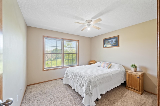2728 174th Ave NE, Ham Lake, MN 55304 - photo 25