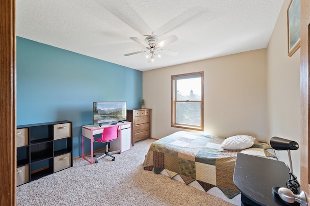 2728 174th Ave NE, Ham Lake, MN 55304 - photo 29