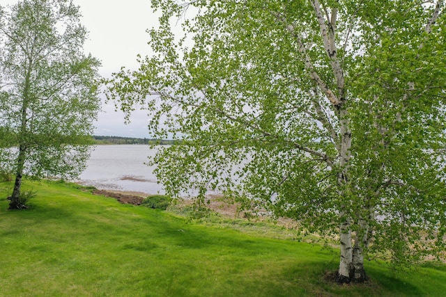 26440 County Highway 39, Osage, MN 56570
