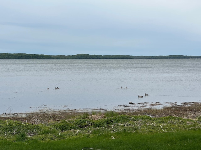 26440 County Highway 39, Osage, MN 56570