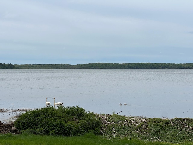 26440 County Highway 39, Osage, MN 56570