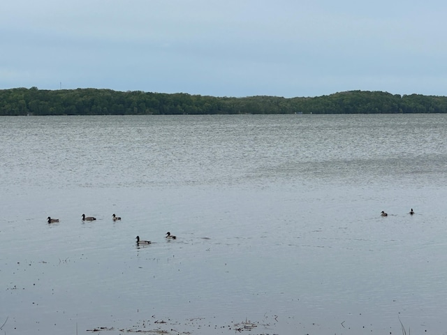 26440 County Highway 39, Osage, MN 56570