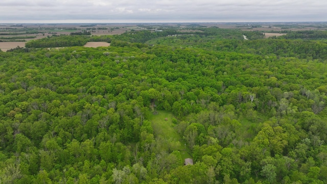 8909 43rd Ave, Stewartville, MN 55976