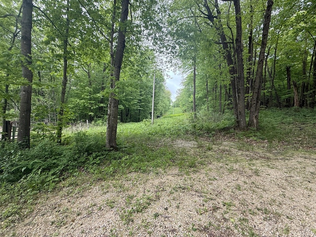 8909 43rd Ave, Stewartville, MN 55976