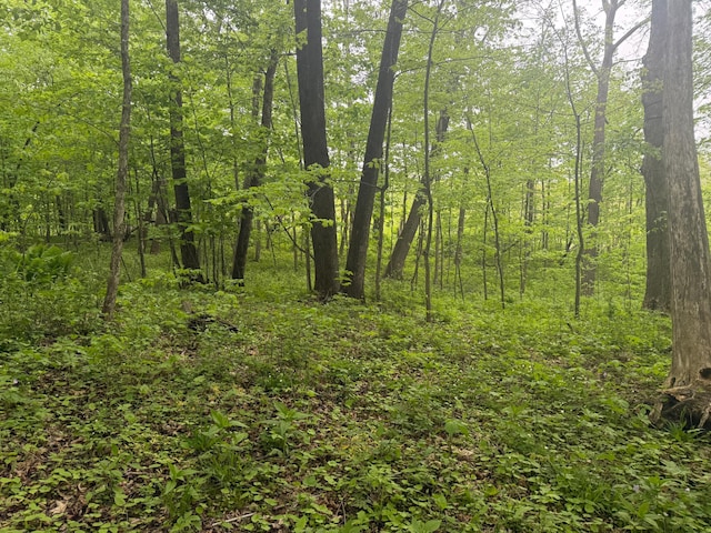 8909 43rd Ave, Stewartville, MN 55976