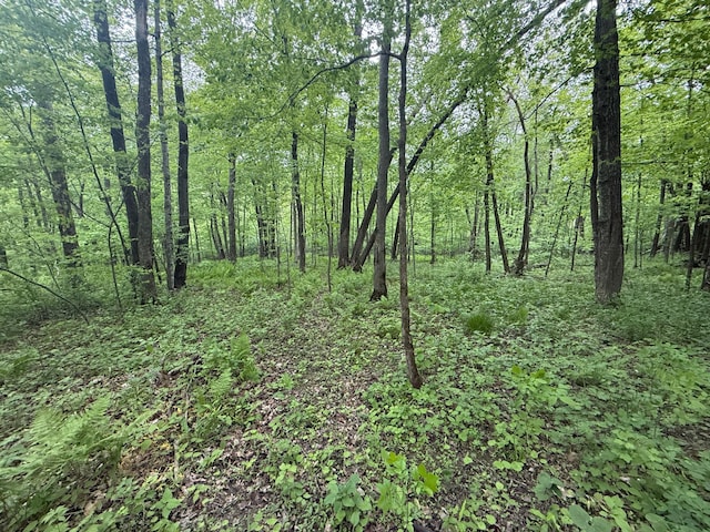 8909 43rd Ave, Stewartville, MN 55976