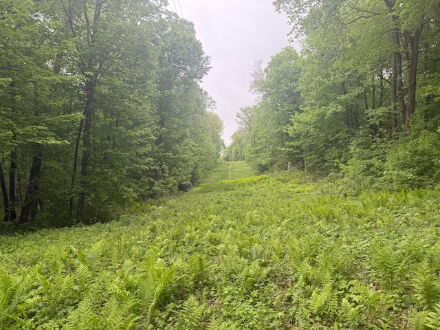 8909 43rd Ave, Stewartville, MN 55976