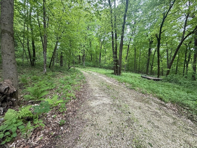 8909 43rd Ave, Stewartville, MN 55976