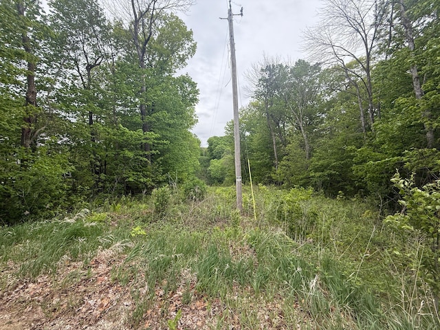 8909 43rd Ave, Stewartville, MN 55976