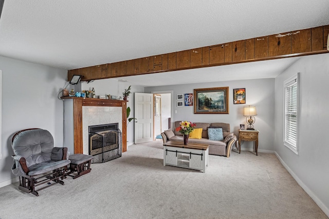 317 6th St E, Carver, MN 55315 - photo 4