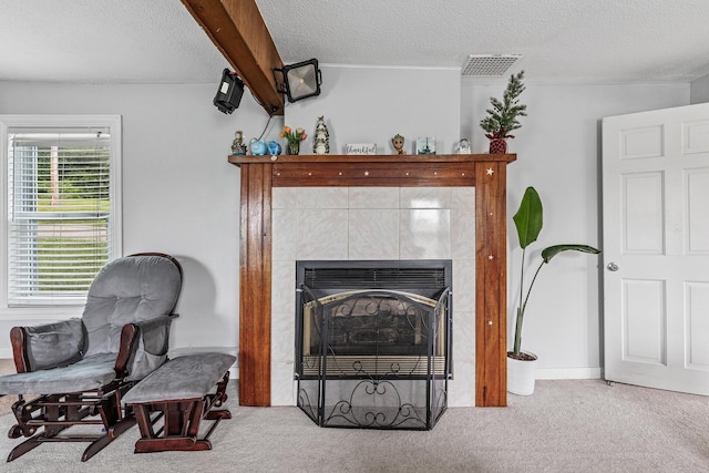 317 6th St E, Carver, MN 55315 - photo 7