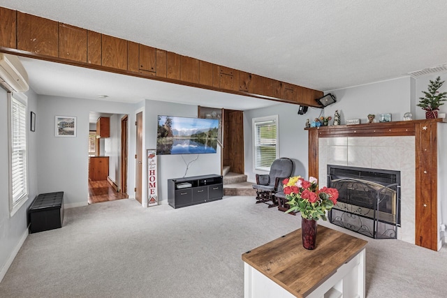 317 6th St E, Carver, MN 55315 - photo 8